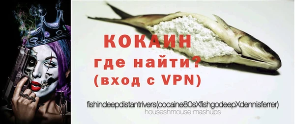 гидра Саяногорск