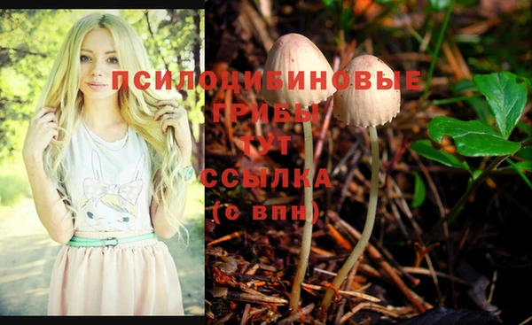 mix Арсеньев
