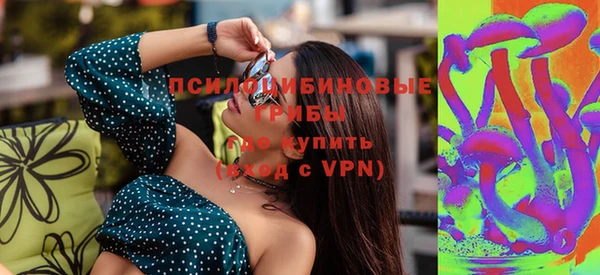 гидра Саяногорск