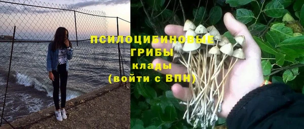 трава Аркадак
