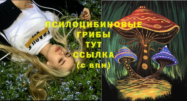 трава Аркадак