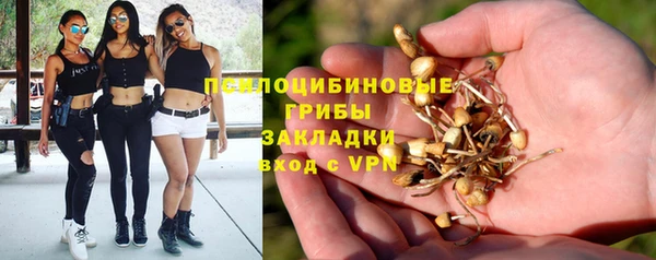 трава Аркадак