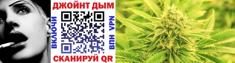 Бошки Шишки план  hydra онион  Бабушкин 